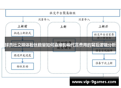 球员社交媒体粉丝数量如何直接影响代言费用的背后逻辑分析 球员社交媒体粉丝数量如何直接影响代言费用的背后逻辑分析