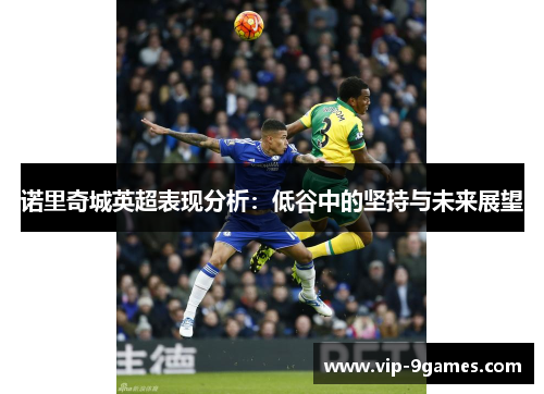 诺里奇城英超表现分析：低谷中的坚持与未来展望