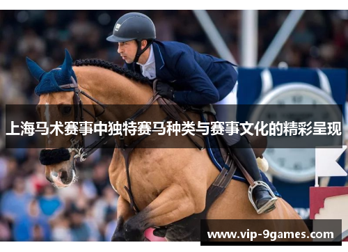 上海马术赛事中独特赛马种类与赛事文化的精彩呈现