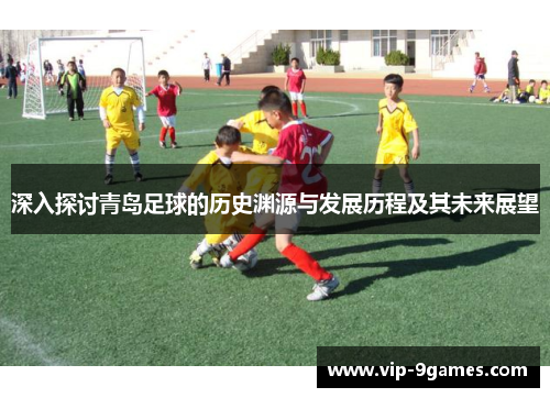 深入探讨青岛足球的历史渊源与发展历程及其未来展望