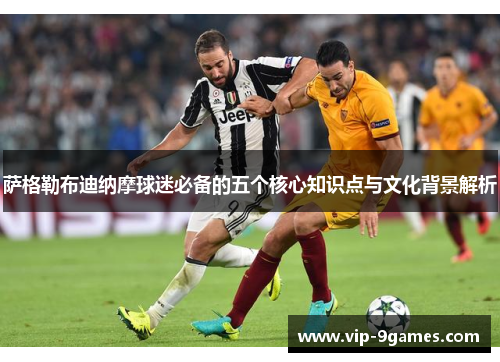 萨格勒布迪纳摩球迷必备的五个核心知识点与文化背景解析